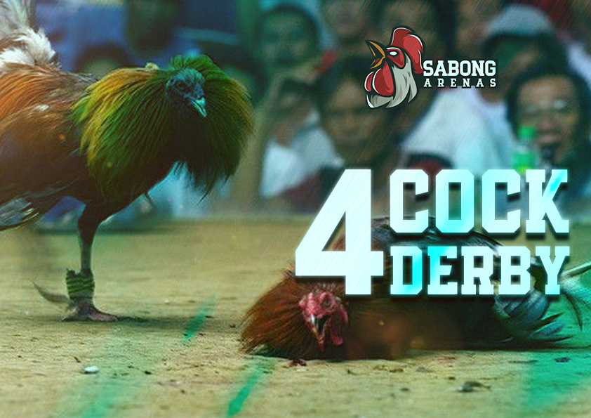 Cockfighting In a Sabong Arena 