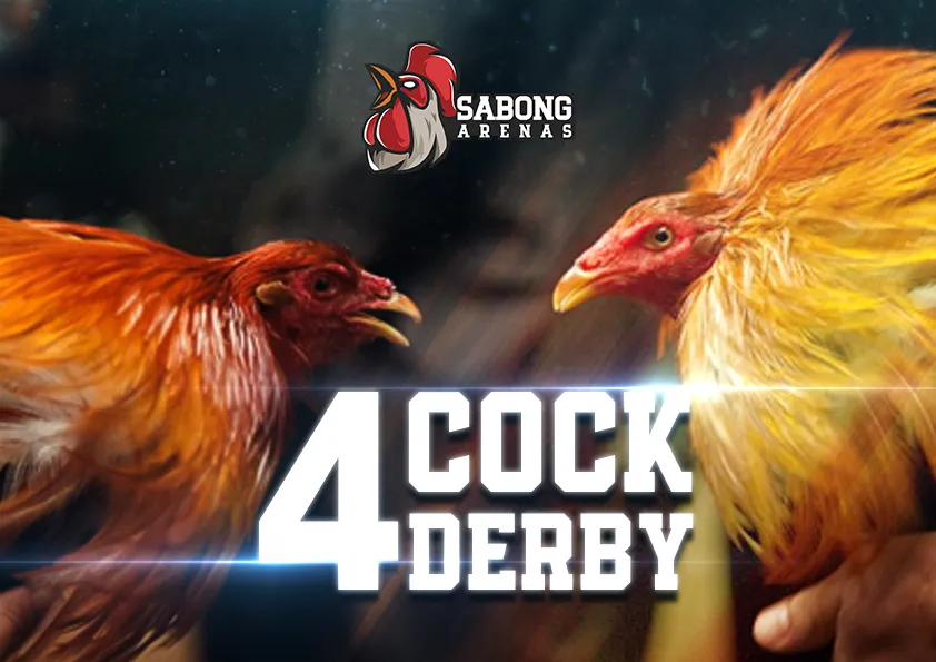 Who Invented Cockfighting