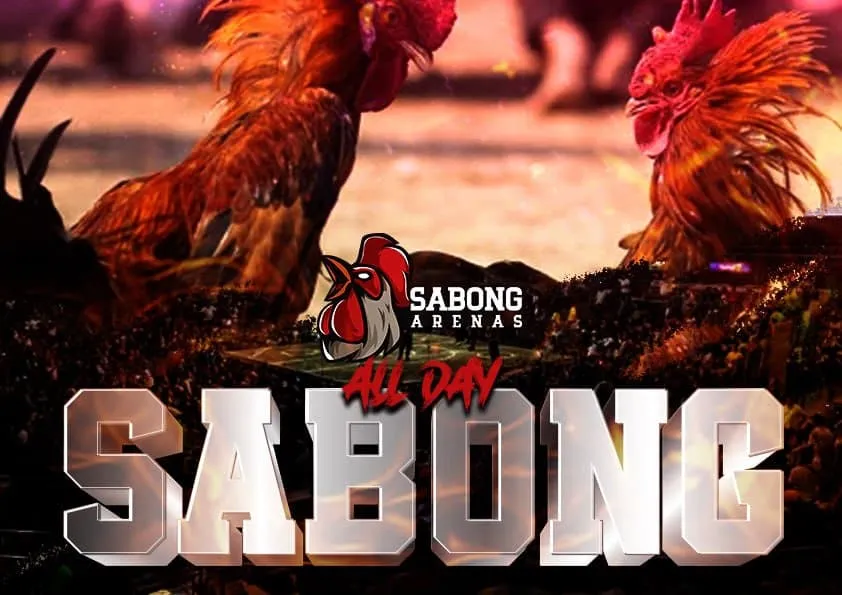 How to Register Online Sabong International